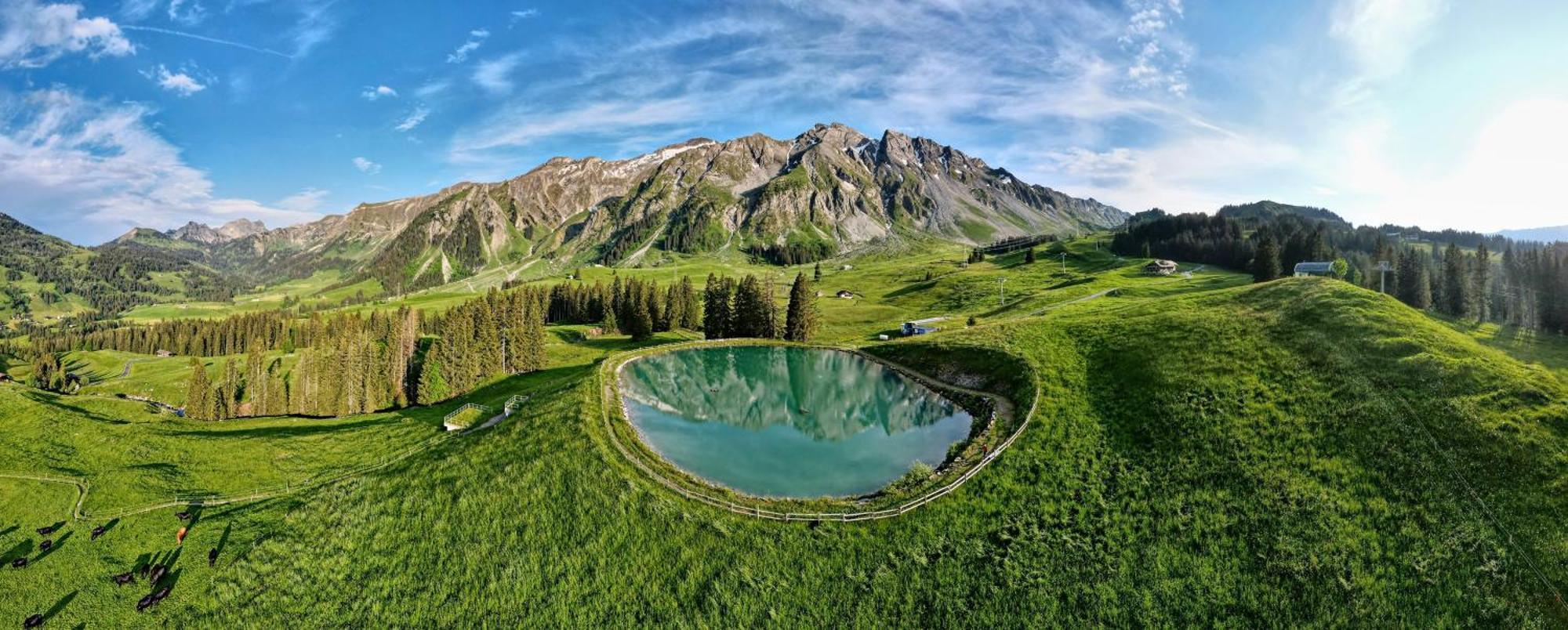 Hotel Soerenberg Dış mekan fotoğraf