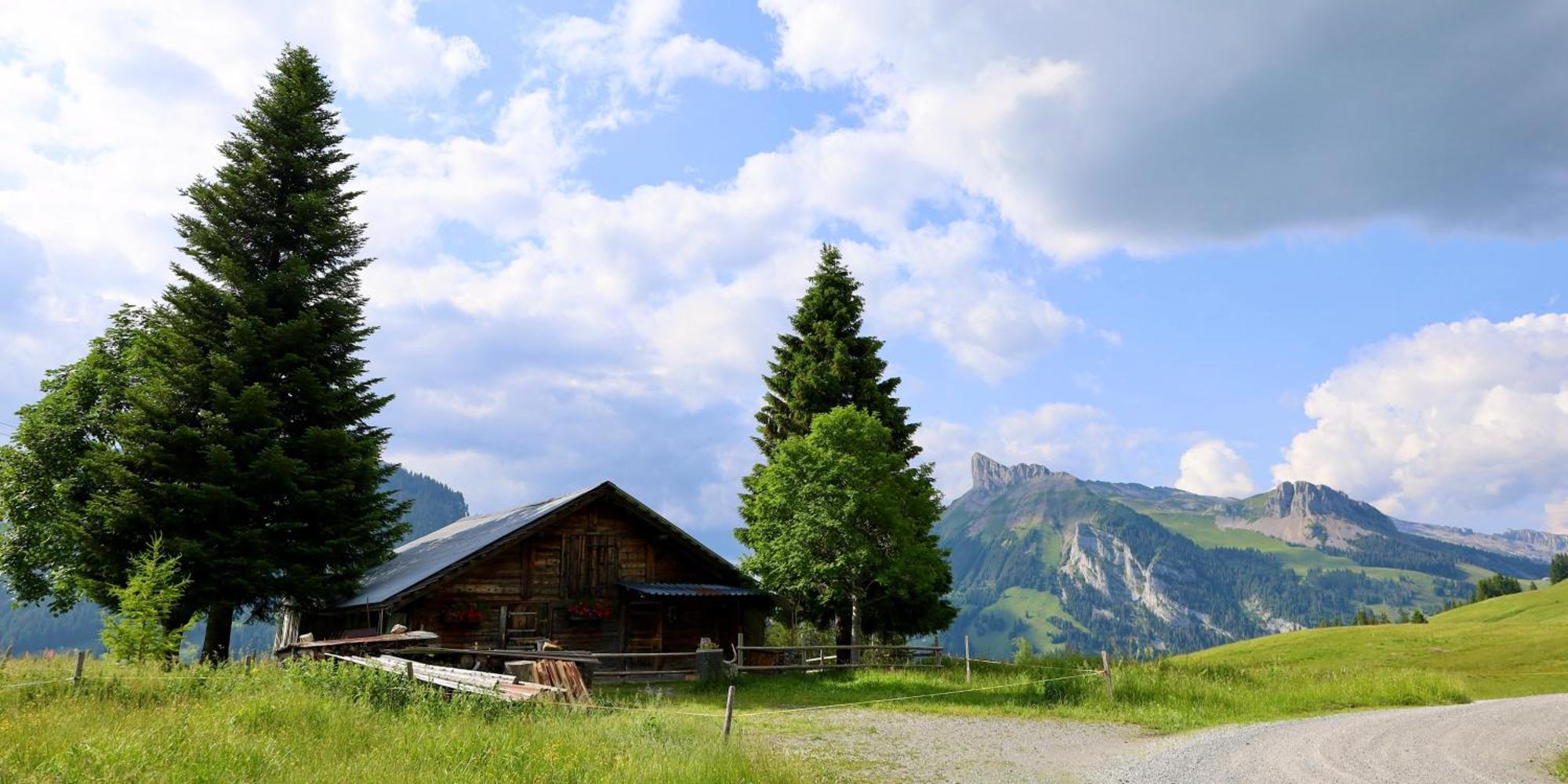 Hotel Soerenberg Dış mekan fotoğraf